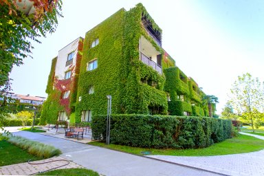 Парковый 204 17